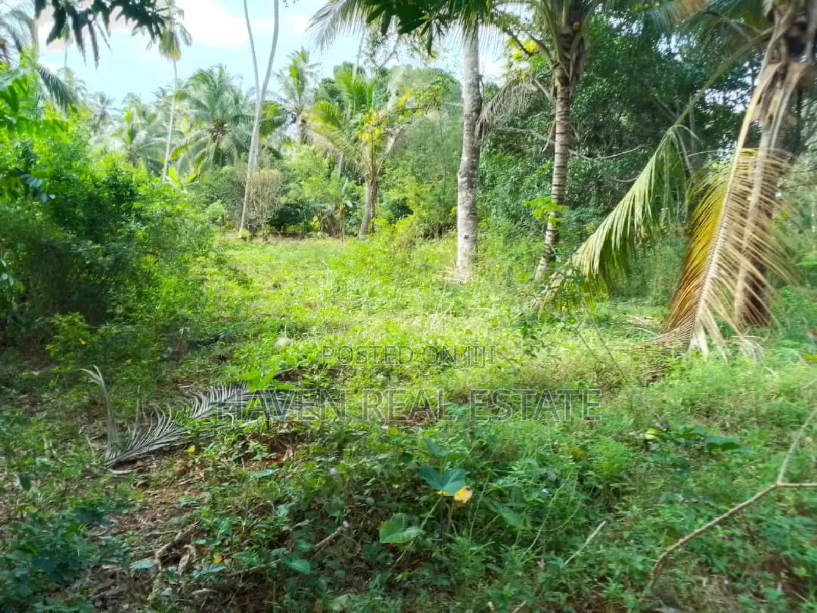 Land Farm for Sale at Zanzibar in Unguja North