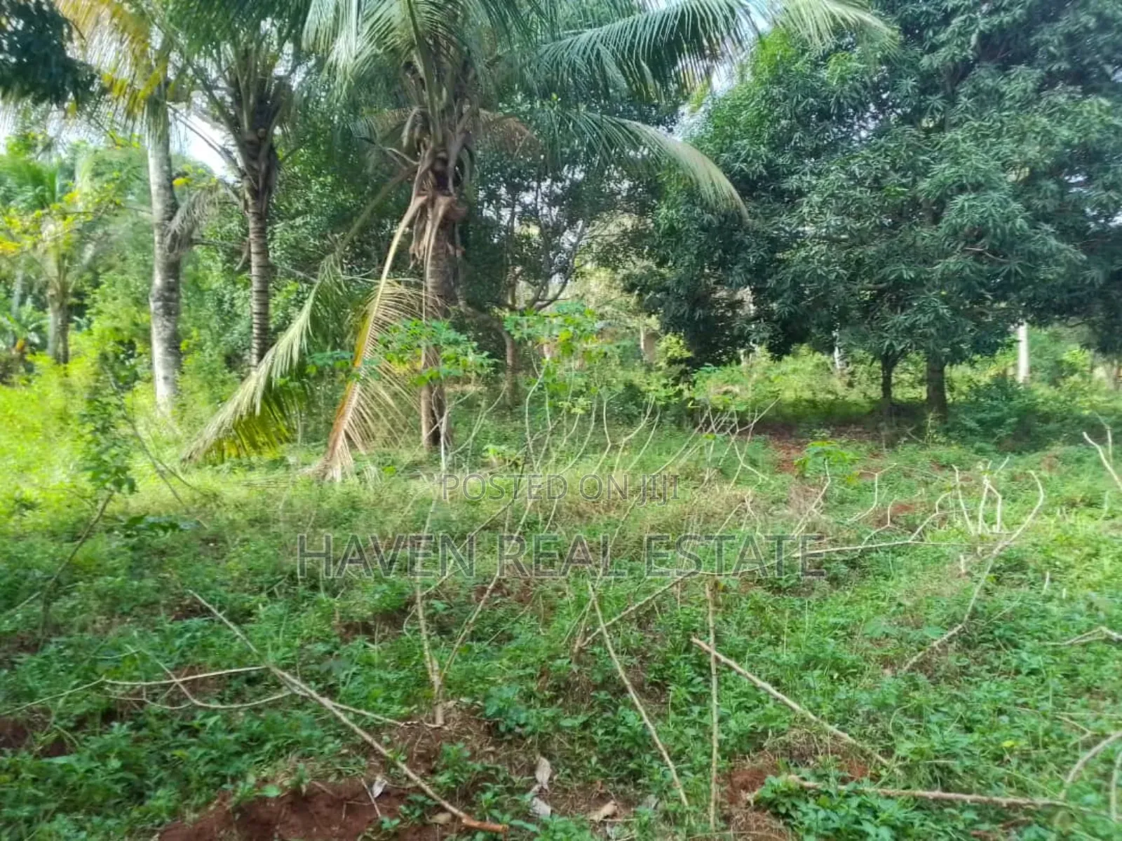 Land Farm for Sale at Zanzibar in Unguja North