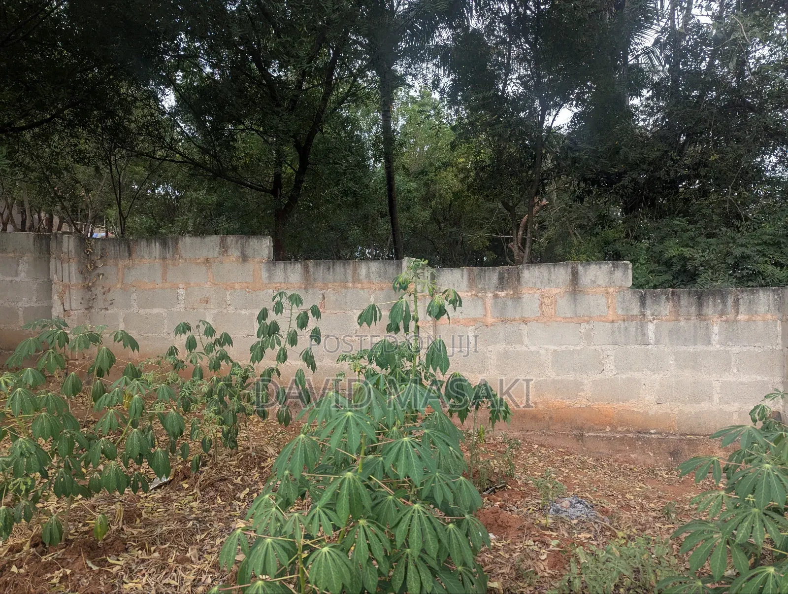 2 Acre Plot for Long Term Rent in Salasala Tegeta Iptl Road in Kunduchi