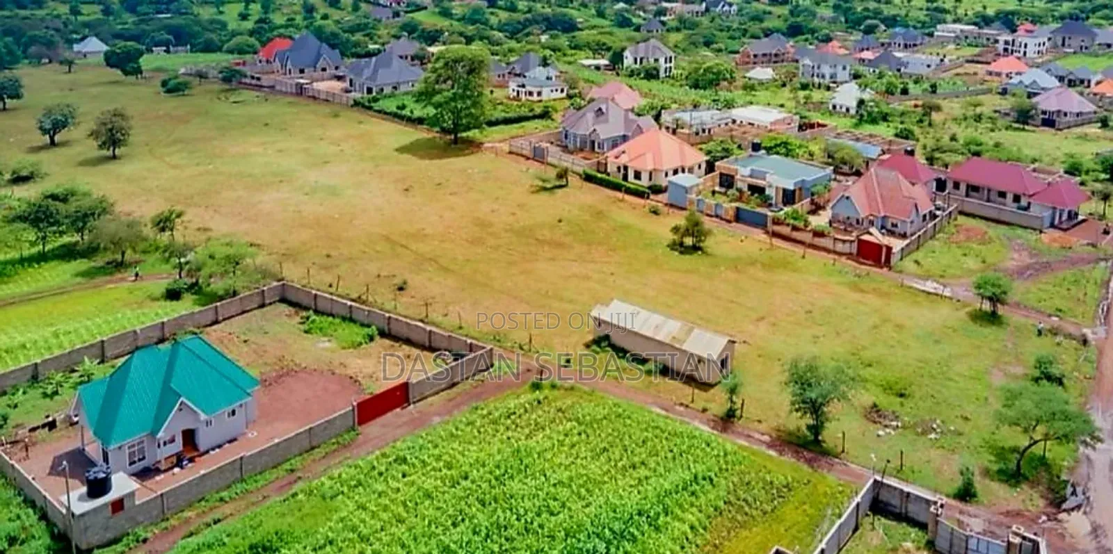 Murieti Kumenoga in Arusha