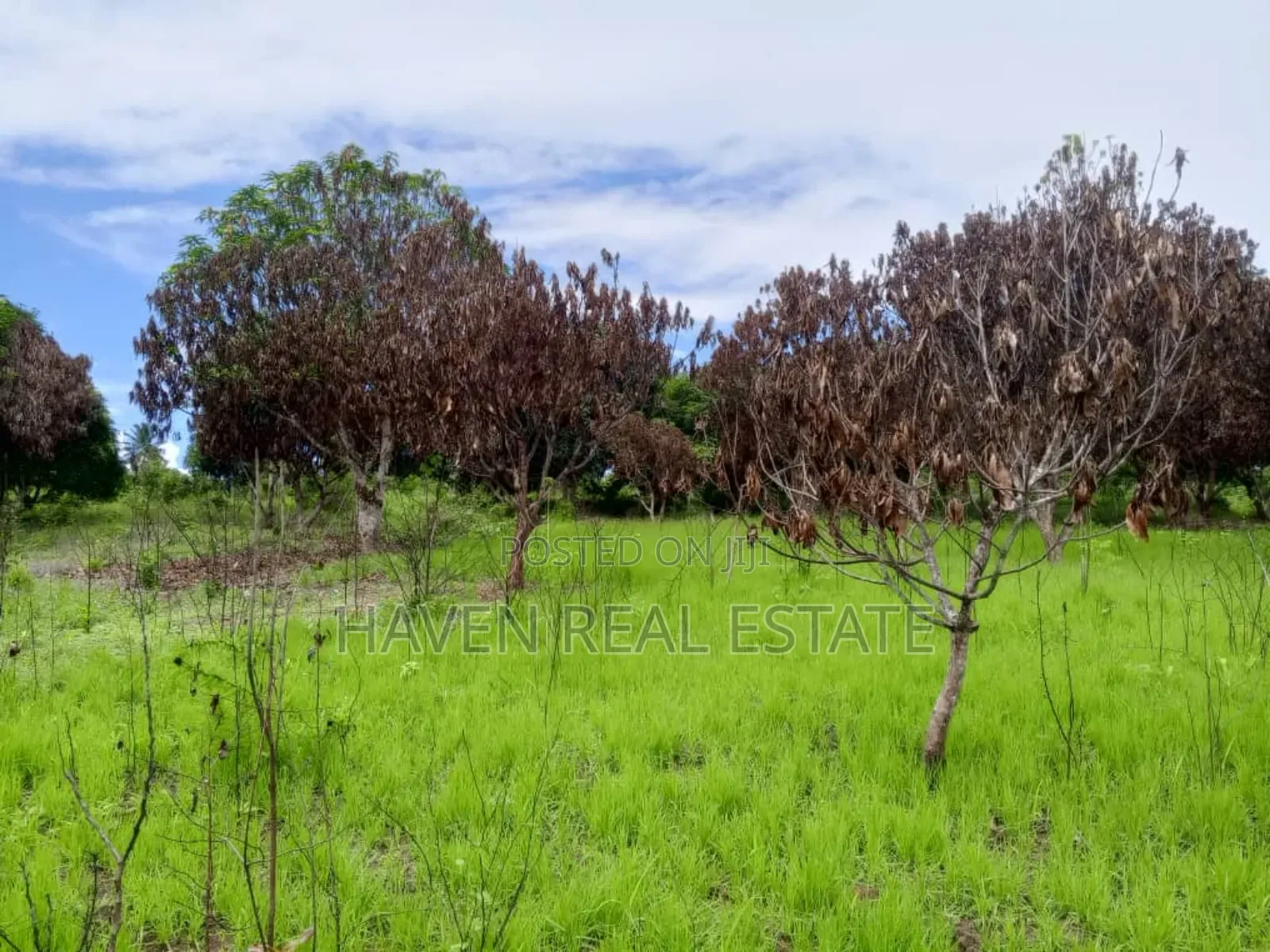 78 Acres Zinauzwa Mkuranga Zinatizama Kilwa Road in Mkuranga