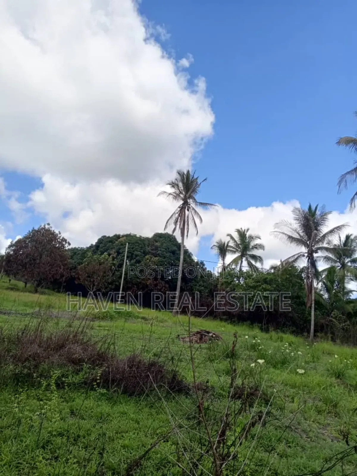 78 Acres Zinauzwa Mkuranga Zinatizama Kilwa Road in Mkuranga