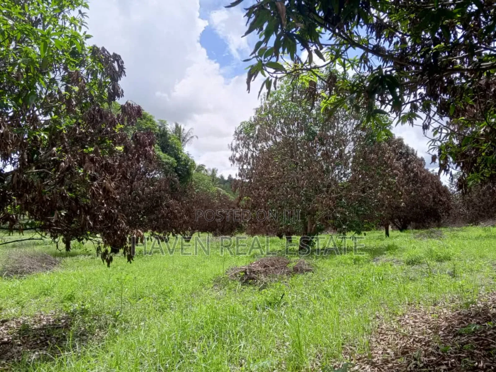 78 Acres Zinauzwa Mkuranga Zinatizama Kilwa Road in Mkuranga
