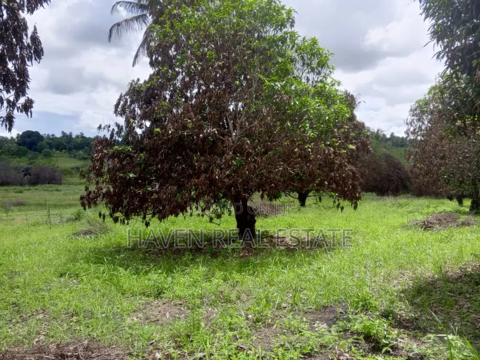 78 Acres Zinauzwa Mkuranga Zinatizama Kilwa Road in Mkuranga
