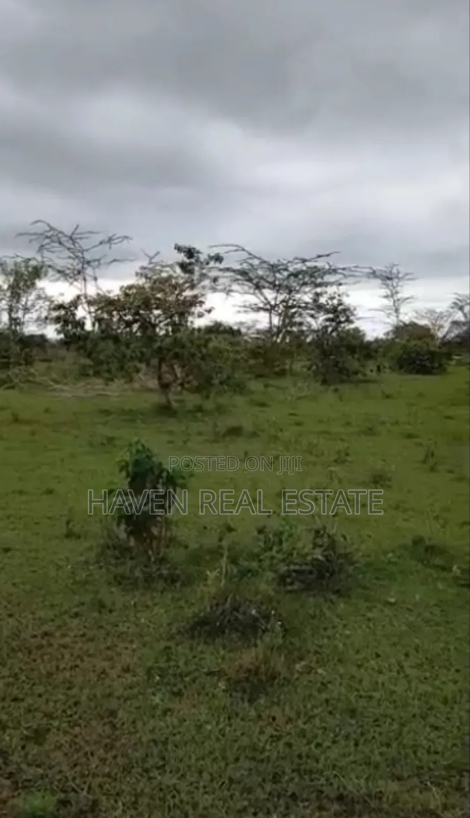 Ekari 4670 Zinauzwa Tanga Pangani in Pangani