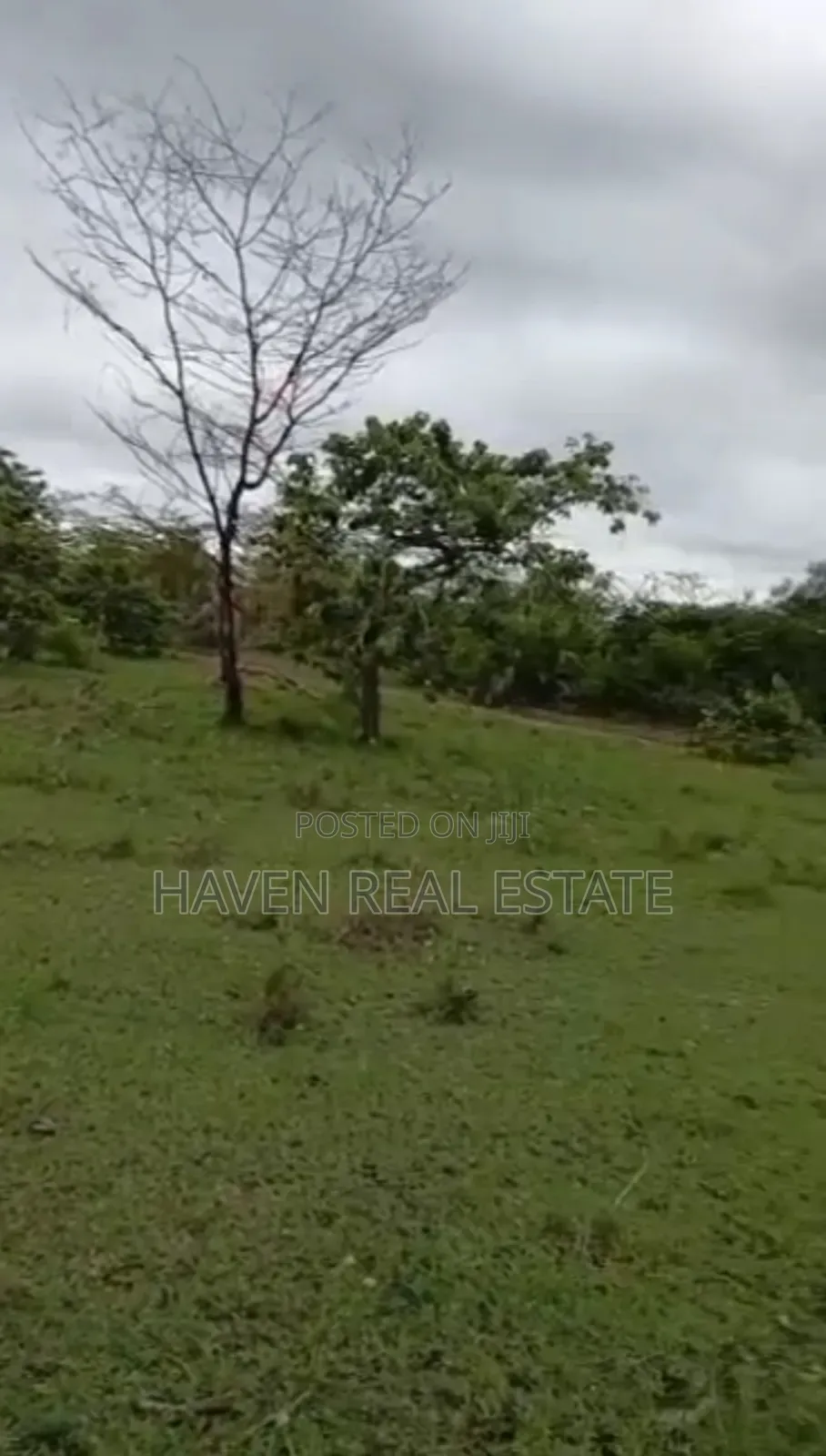 Ekari 4670 Zinauzwa Tanga Pangani in Pangani