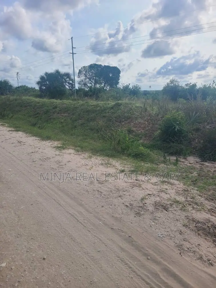 Shamba(Farm) Agriculture Land For Sale Near Siji River Tanga in Usagara