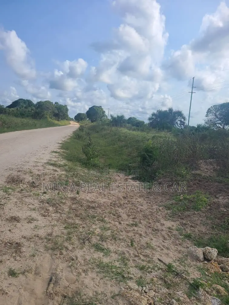 Shamba(Farm) Agriculture Land For Sale Near Siji River Tanga in Usagara