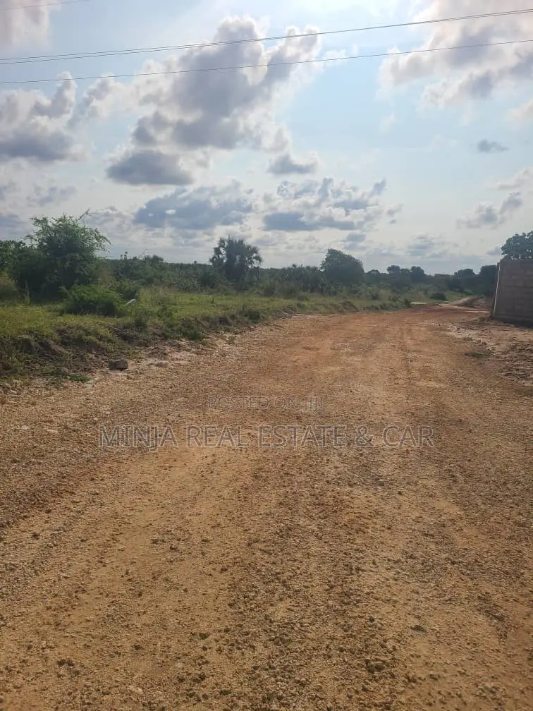 Shamba(Farm) Agriculture Land For Sale Near Siji River Tanga in Usagara