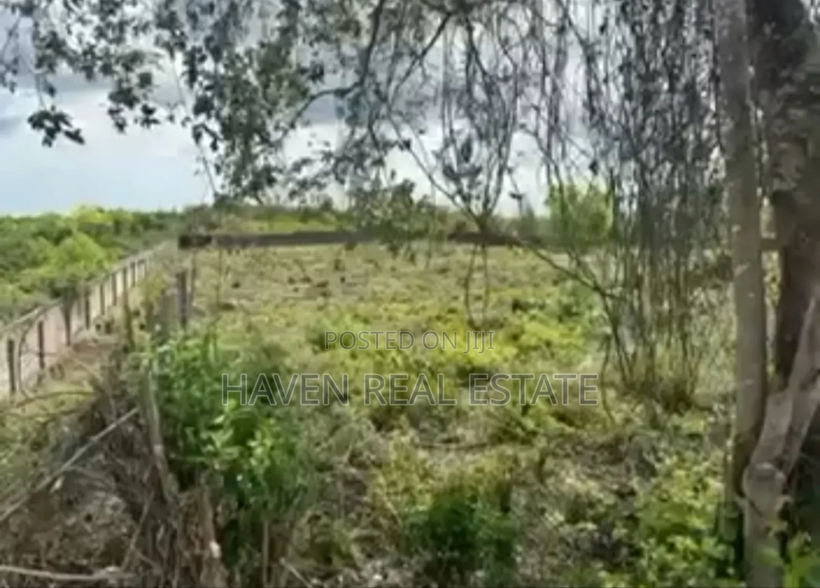 Beach Cliff for Sale at Zanzibar Uroa in Unguja South