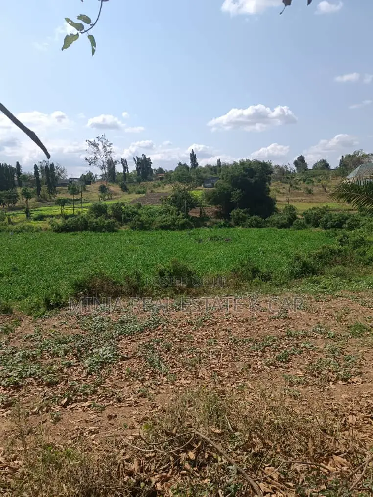 3 Acres for Sale Kiluvya Gogoni in Maili Mmoja