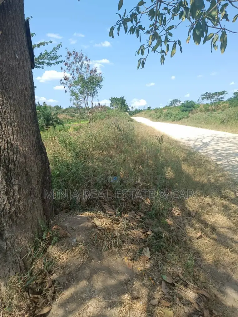 3 Acres for Sale Kiluvya Gogoni in Maili Mmoja
