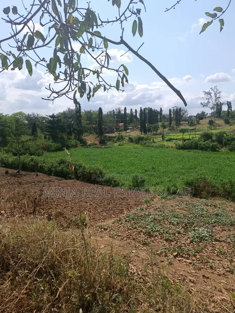 3 Acres for Sale Kiluvya Gogoni in Maili Mmoja