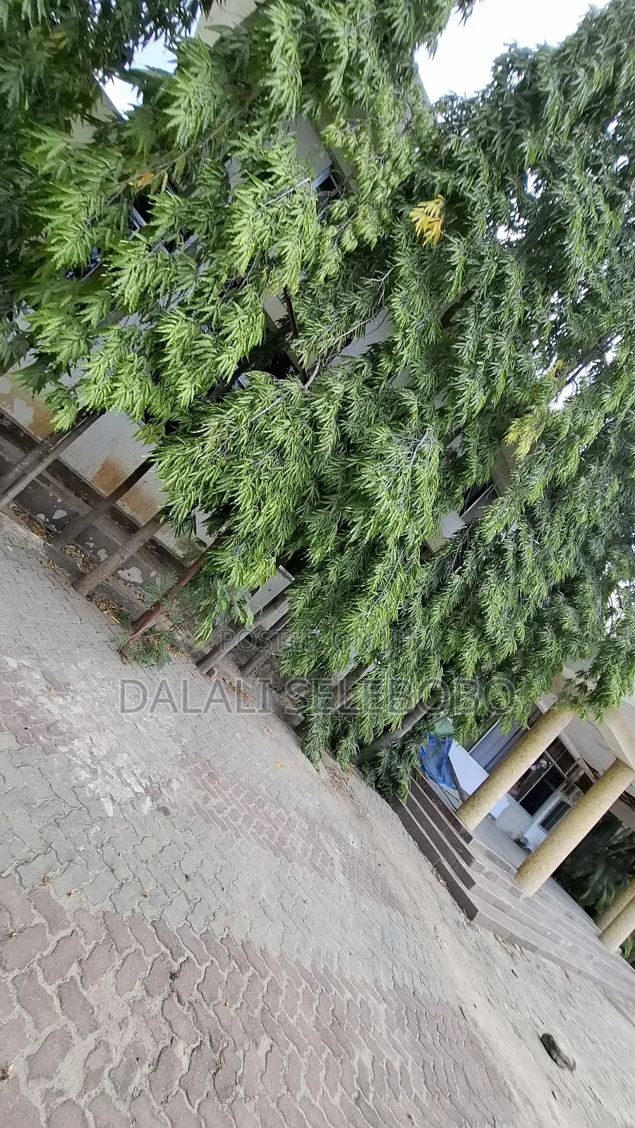 1bdrm Bedsitter in Mbezi Beach Makonde for rent in Mbezi Beach