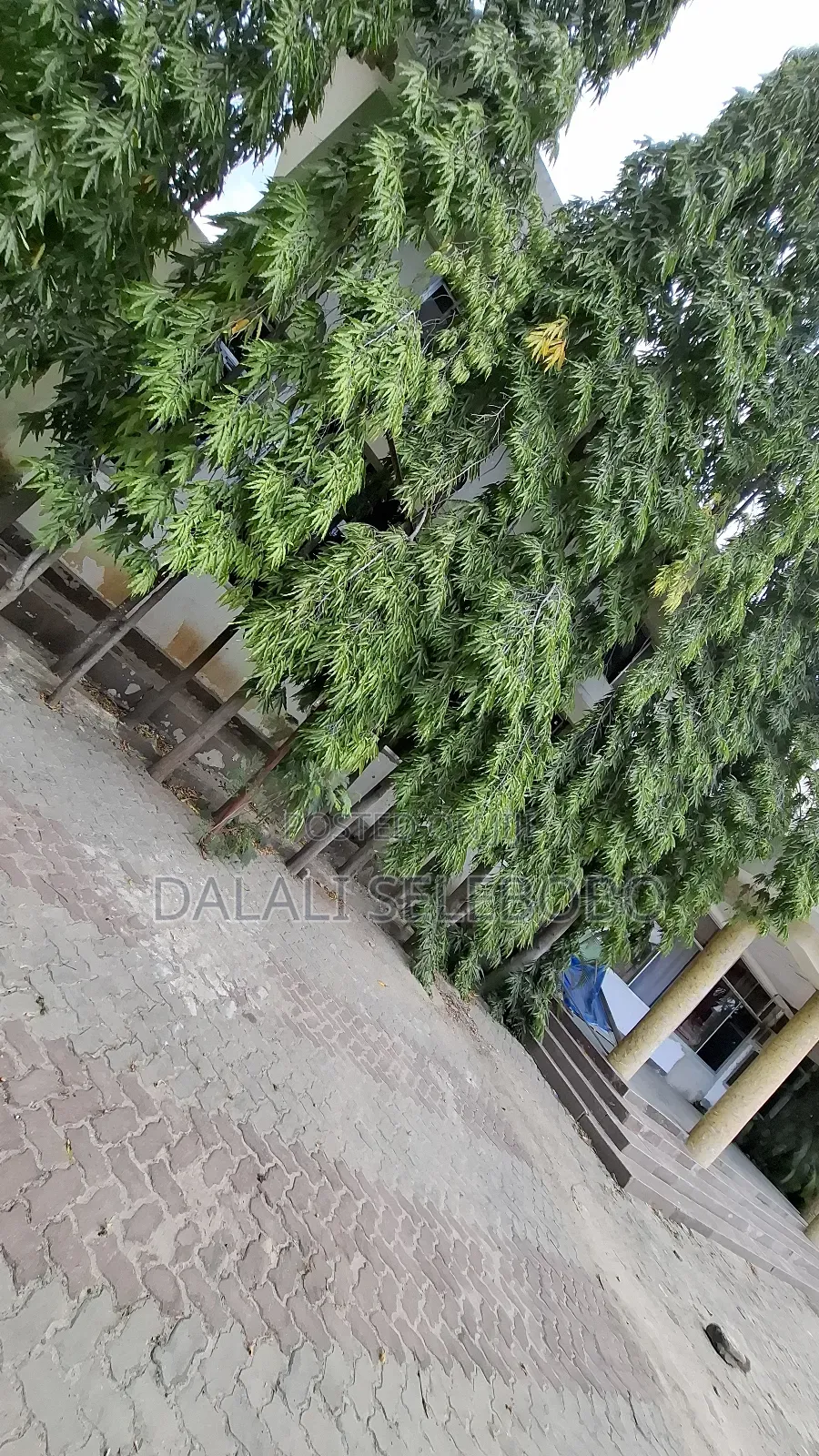 1bdrm Bedsitter in Mbezi Beach Makonde for rent in Mbezi Beach