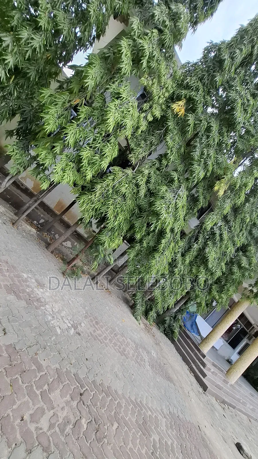 1bdrm Bedsitter in Mbezi Beach Makonde for rent in Mbezi Beach