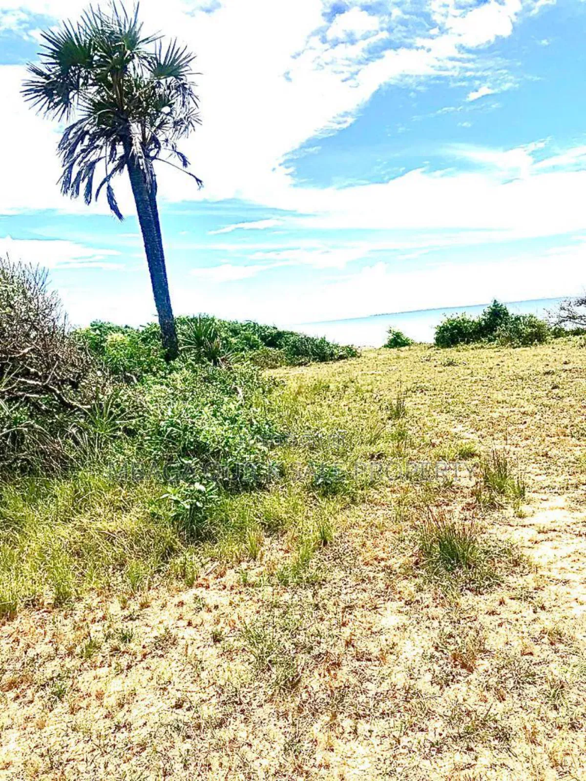 Beach Plot for Sale at Kisiju Nganje Mkuranga in Kisiju