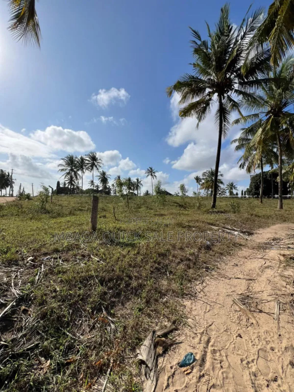 Corner Plot Area SQM 6604 for Sale at Mivumoni in Goba
