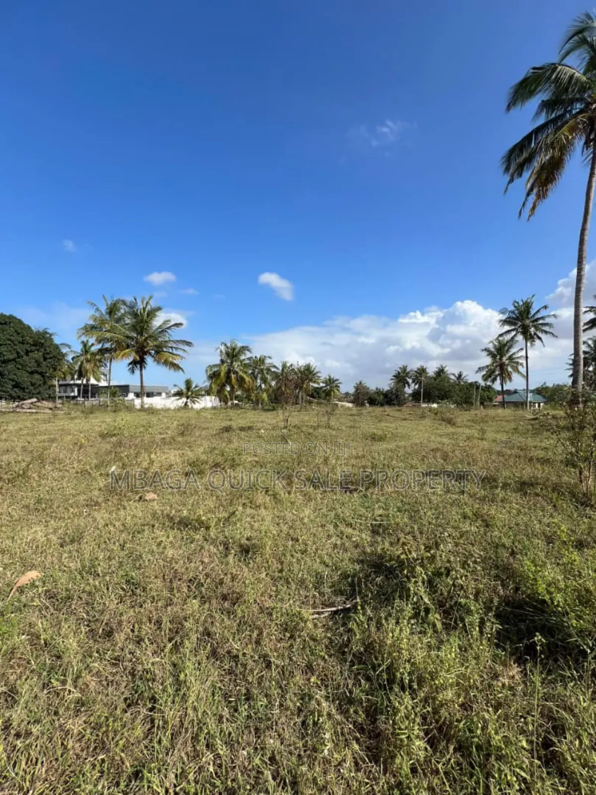 Corner Plot Area SQM 6604 for Sale at Mivumoni in Goba