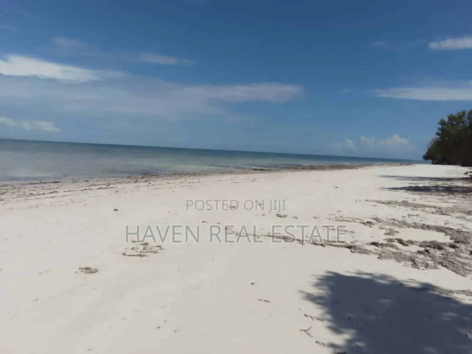 Beach Cliff for Sale at Zanzibar in Unguja North