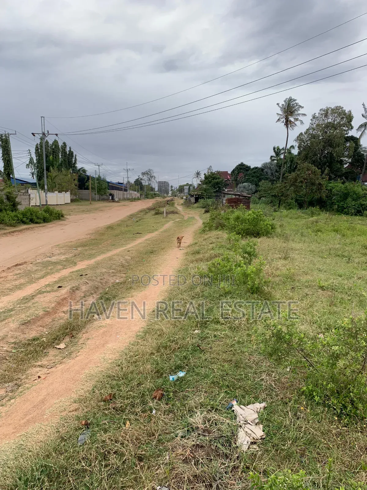 2.5acres Zinauzwa Salasala Iptl in Kinondoni
