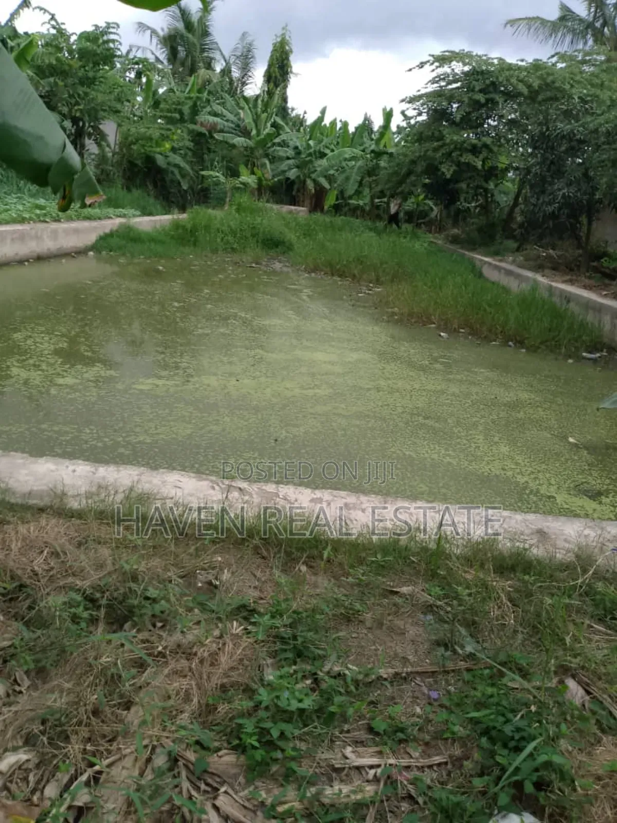 Bwawa La Samaki Linauzwa Ubungo River Side in Makuburi
