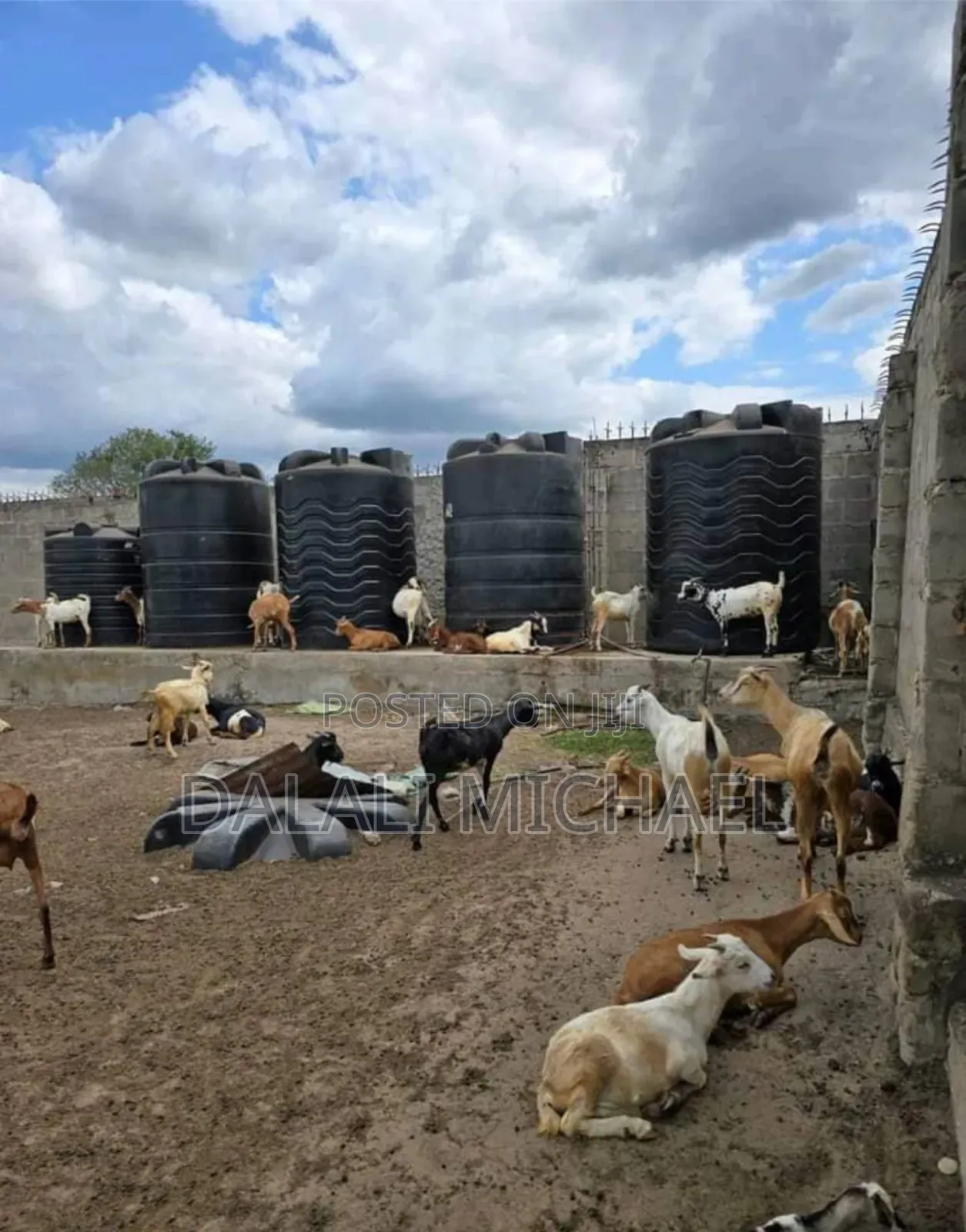 Shamba Linauzwa Bagamoyo Mwavi in Mwavi