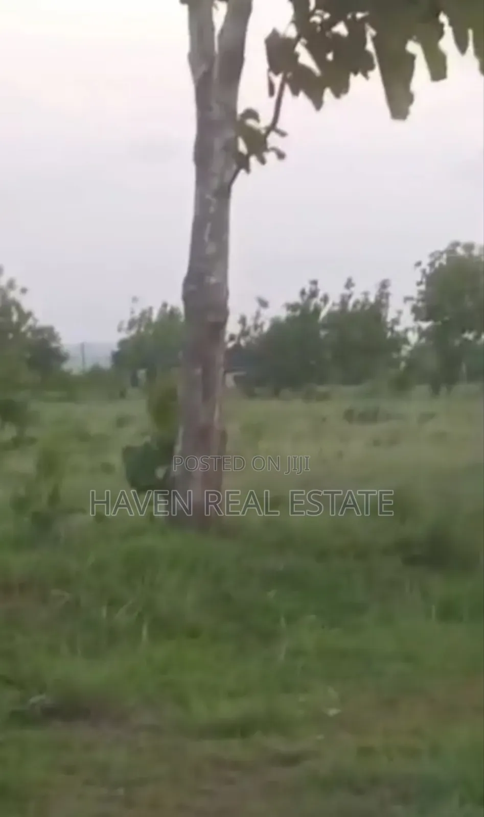 Shamba Linauzwa Bagamoyo in Bagamoyo