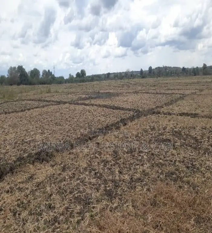 Cheap Shamba (Farm) for Sale River Ruvu Kwala-Vigwaza in Kwala