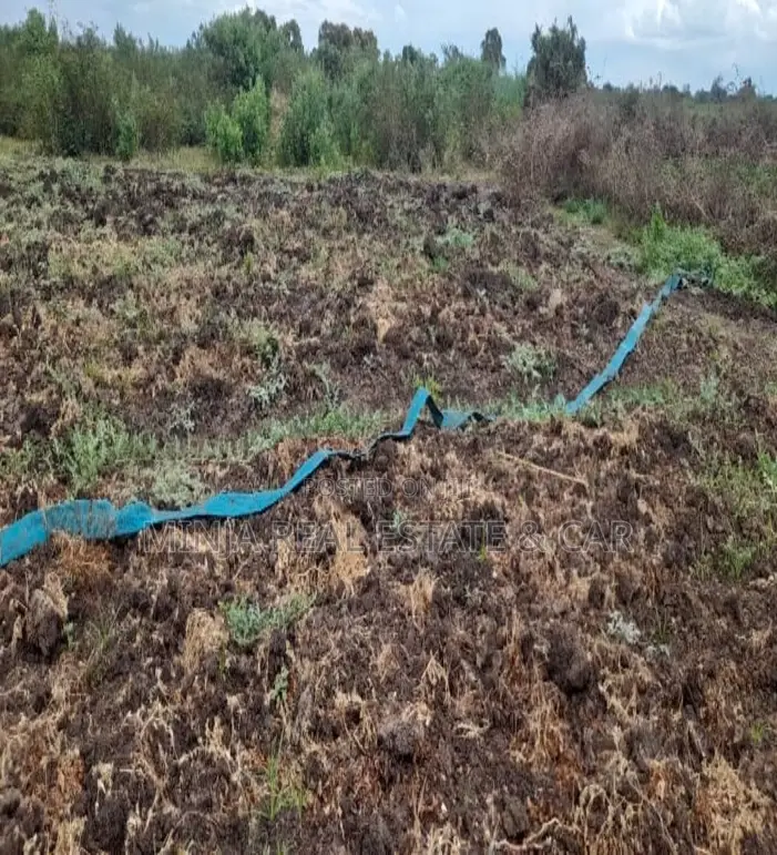 Cheap Shamba (Farm) for Sale River Ruvu Kwala-Vigwaza in Kwala