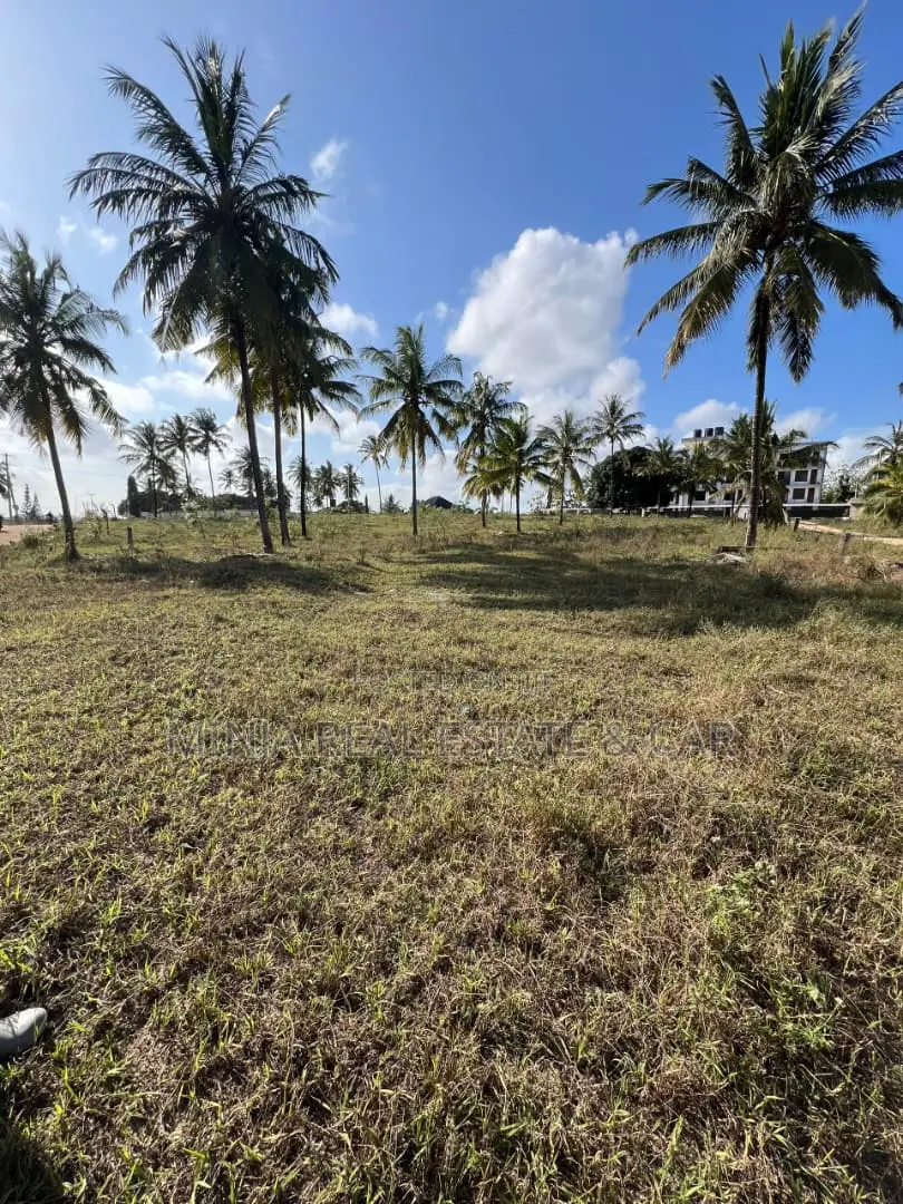 Cheap and Good Farm (Shamba) for Sale Near Sigi River Tanga in Sigaya
