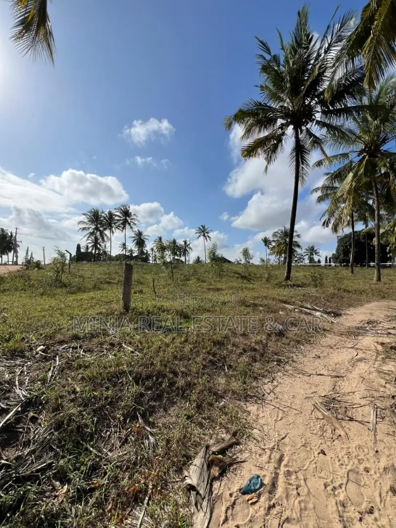 Cheap and Good Farm (Shamba) for Sale Near Sigi River Tanga in Sigaya