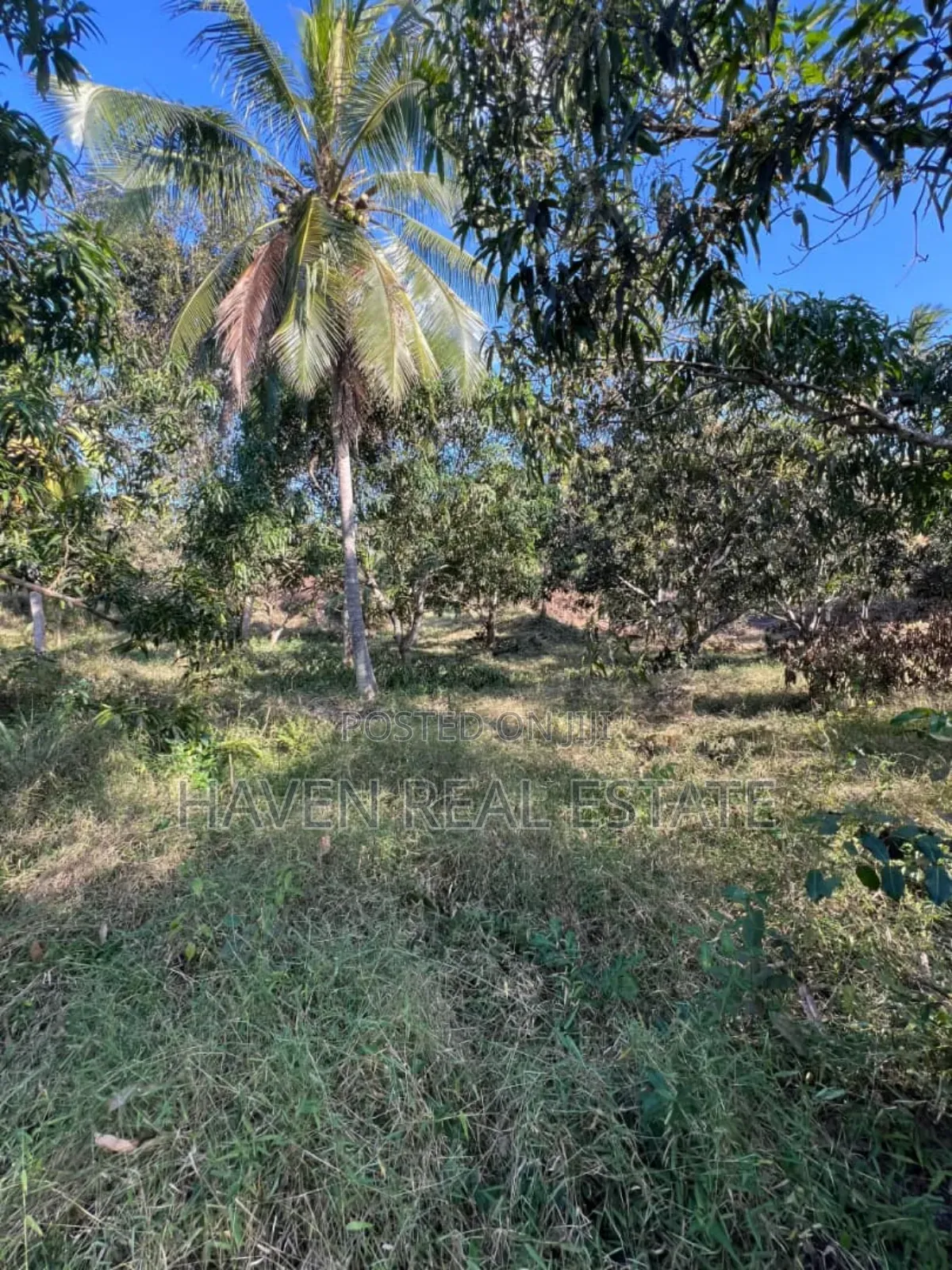 Kiwanja Kinauzwa Kiluvya Magogoni in Kiluvya