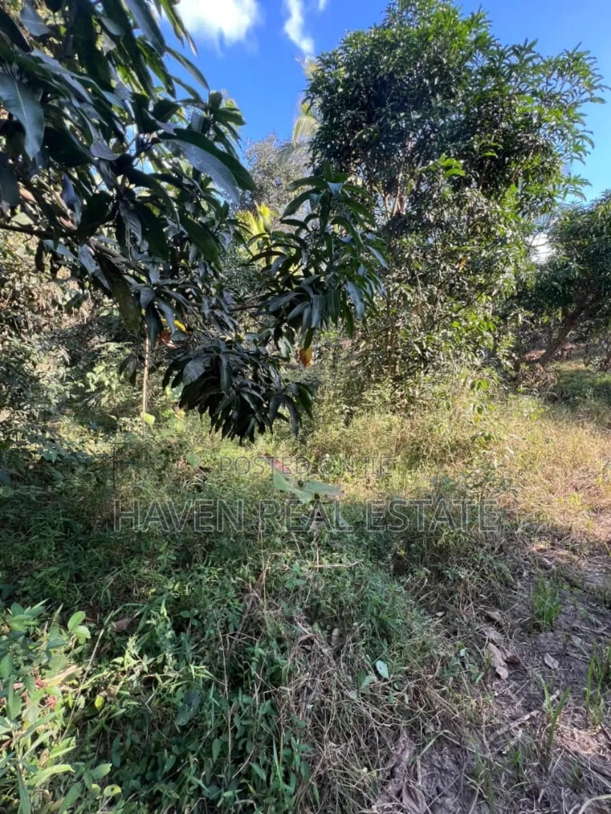 Kiwanja Kinauzwa Kiluvya Magogoni in Kiluvya