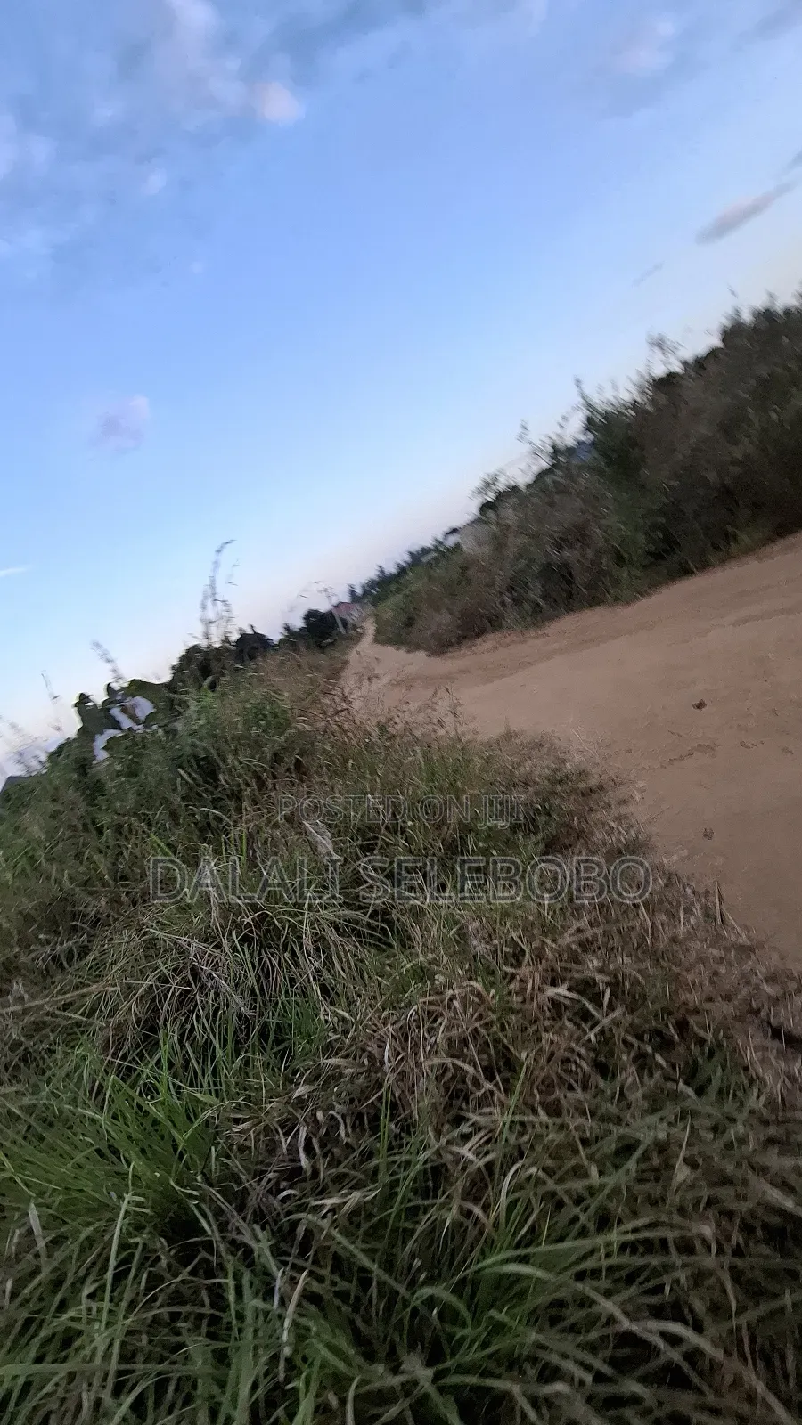 1hector at Vikawe Very Potential Area in Bagamoyo