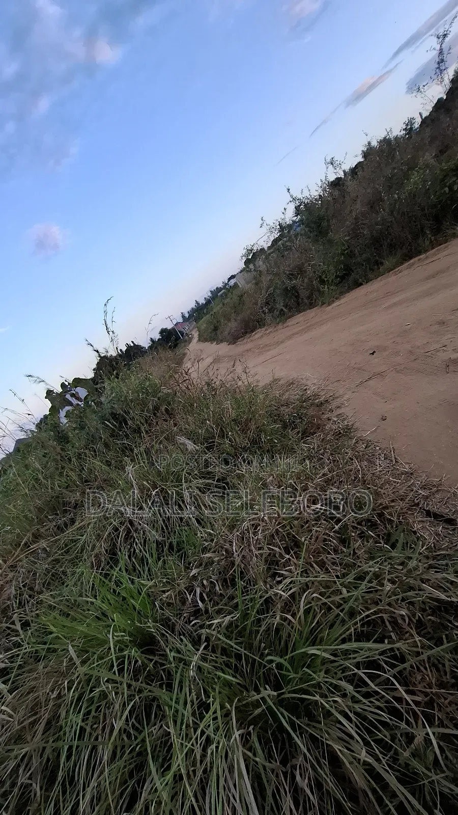 1hector at Vikawe Very Potential Area in Bagamoyo