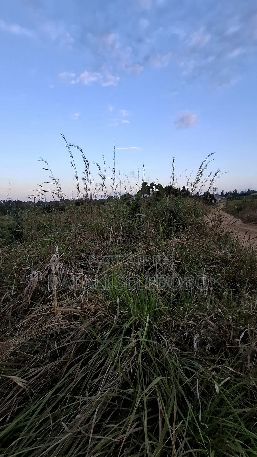 1hector at Vikawe Very Potential Area in Bagamoyo