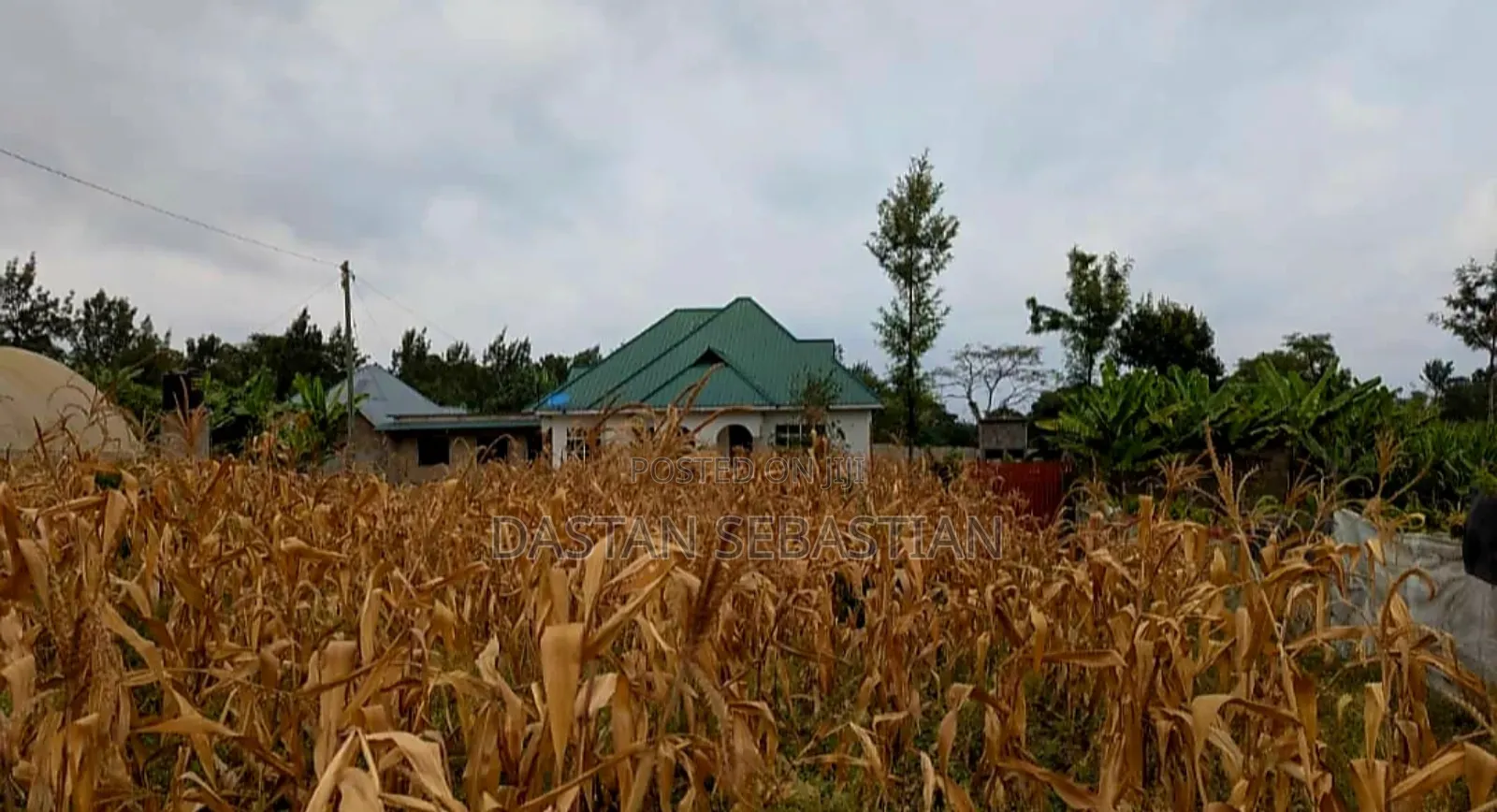 Inteli Bei Kitonga in Arusha