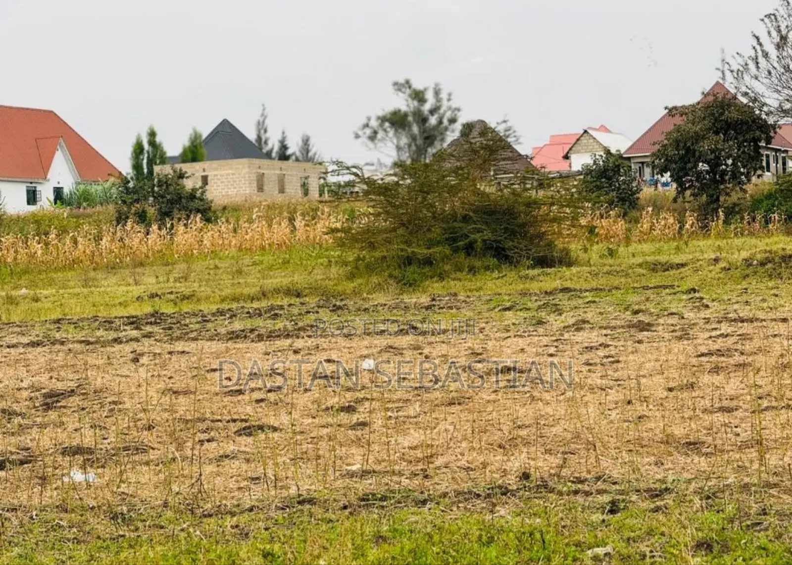 Kisongo Imenoga Bei Imeshuka in Arusha