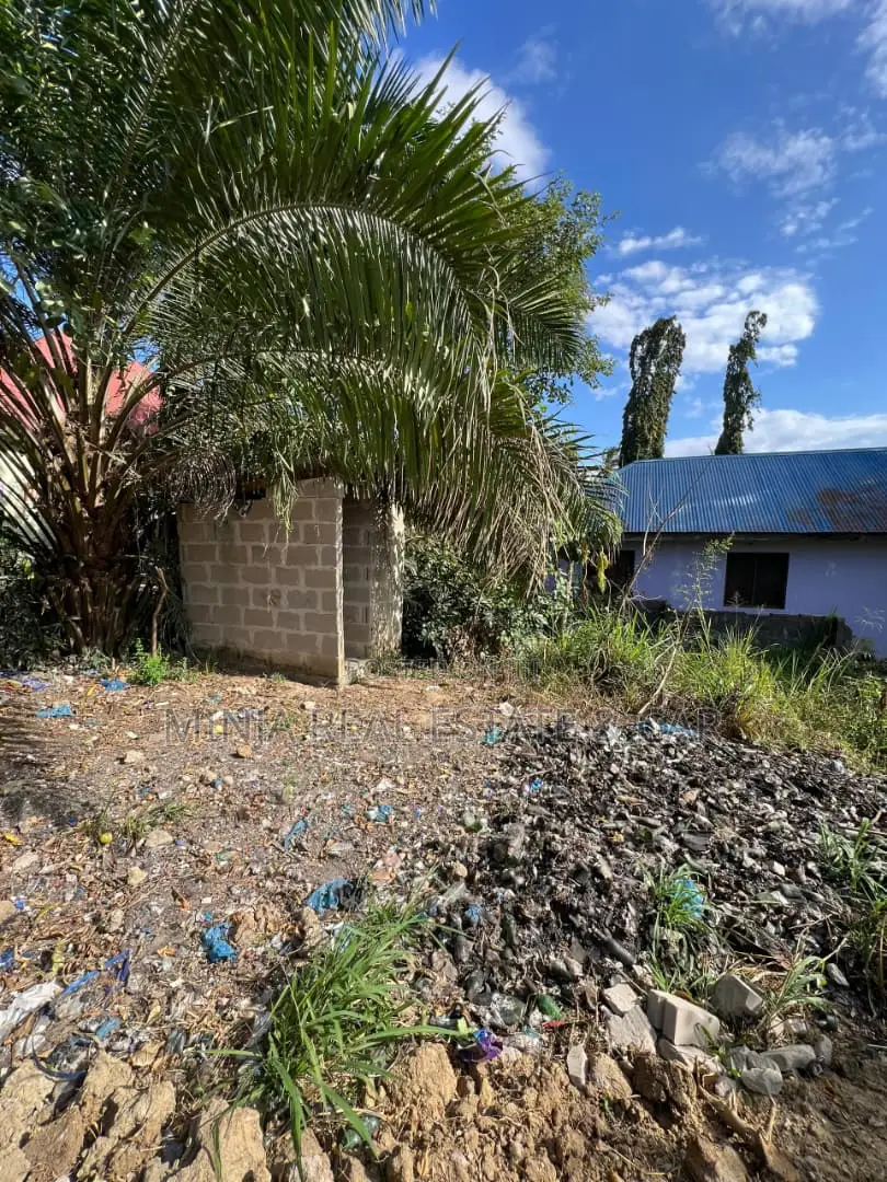 Plot for Sale Kiluvya Gogoni Just 200 Meters From Morogoro Road. in Kibamba