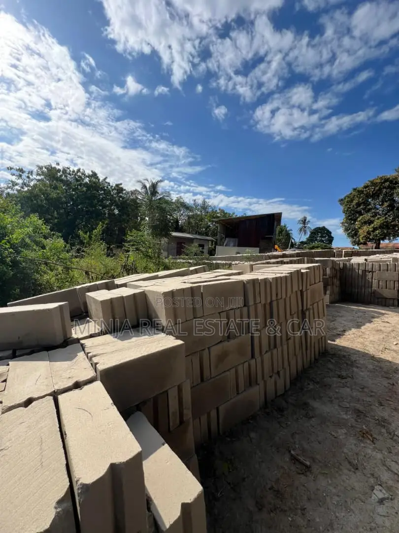 Plot for Sale Kiluvya Gogoni Just 200 Meters From Morogoro Road. in Kibamba
