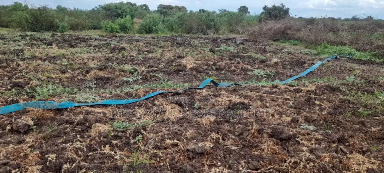 Farm for Sale Along Ruvu River at Vigwaza Coast Region in Ruvu