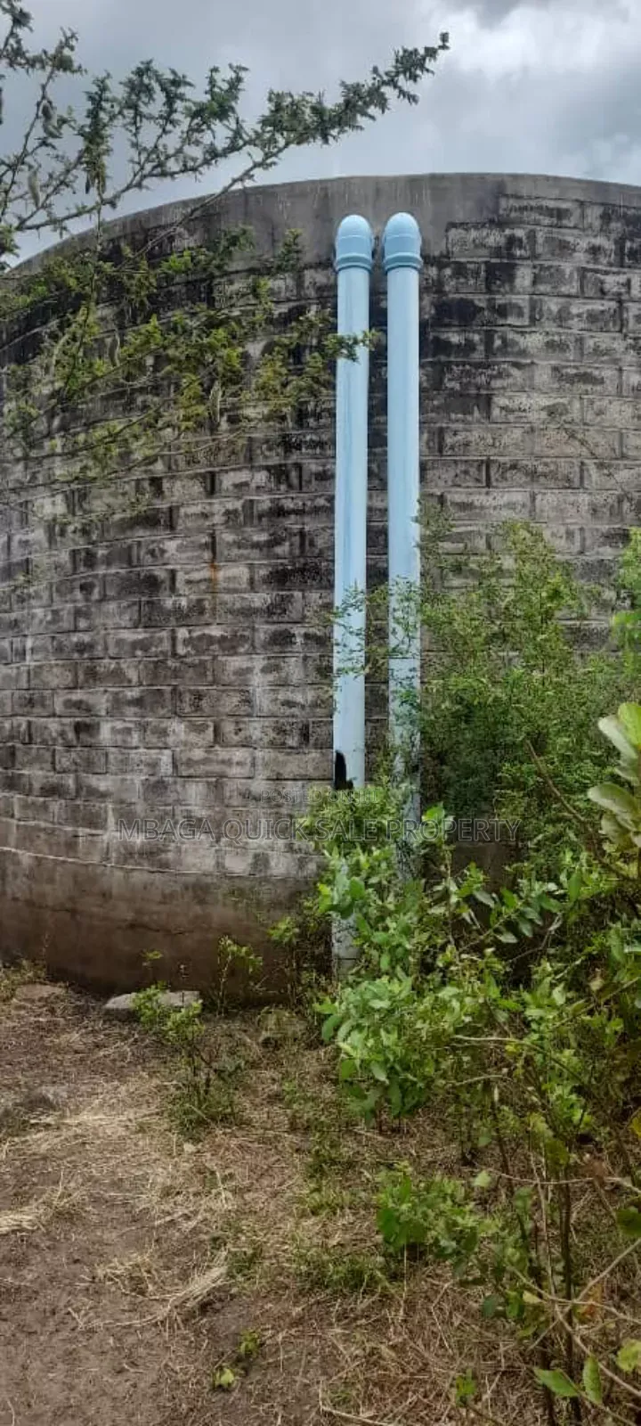 Farm for Sale Along Ruvu River at Vigwaza Coast Region in Ruvu