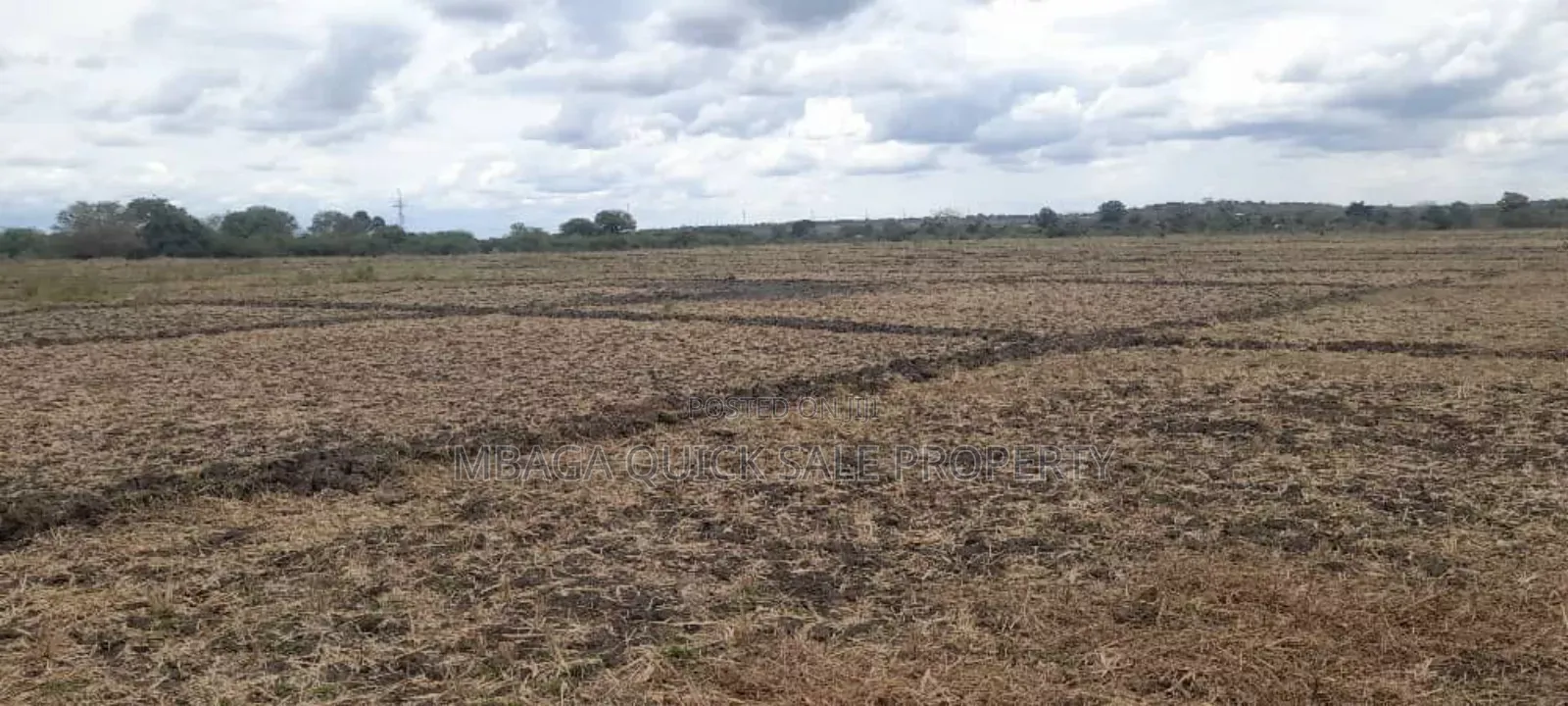 Farm for Sale Along Ruvu River at Vigwaza Coast Region in Ruvu