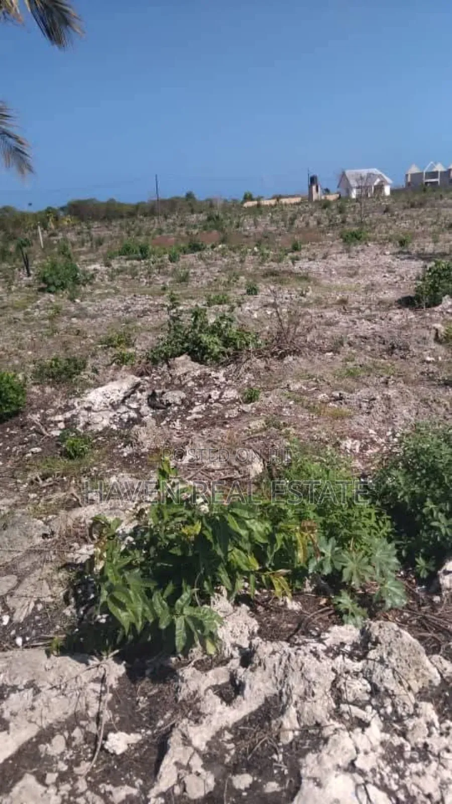 Beach Plot for Sale at Michamvi Zanzibar in Unguja South
