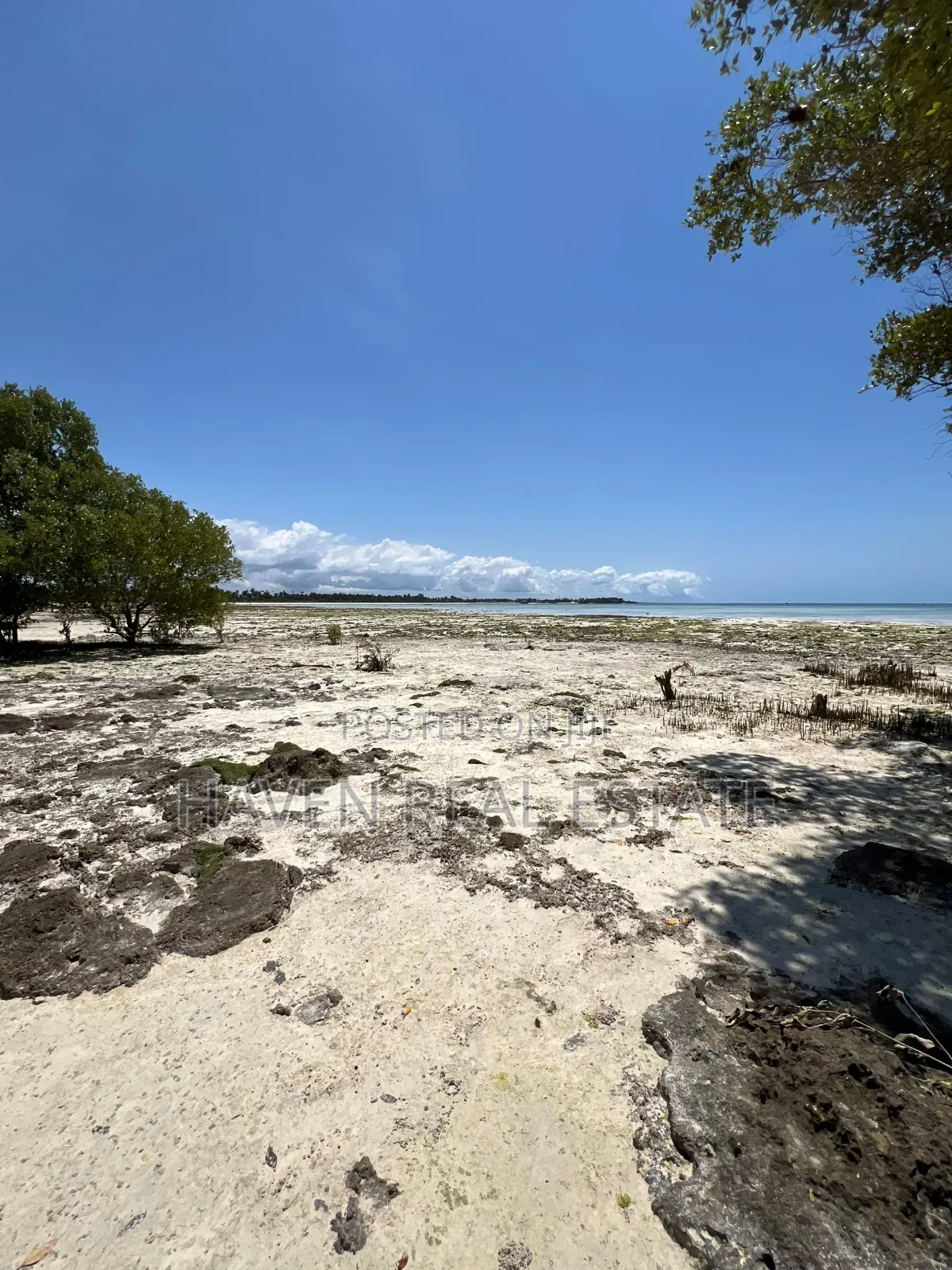 Mangrove Beach Plot for Sale at Pongwe, Zanzibar in Mjini Magharibi