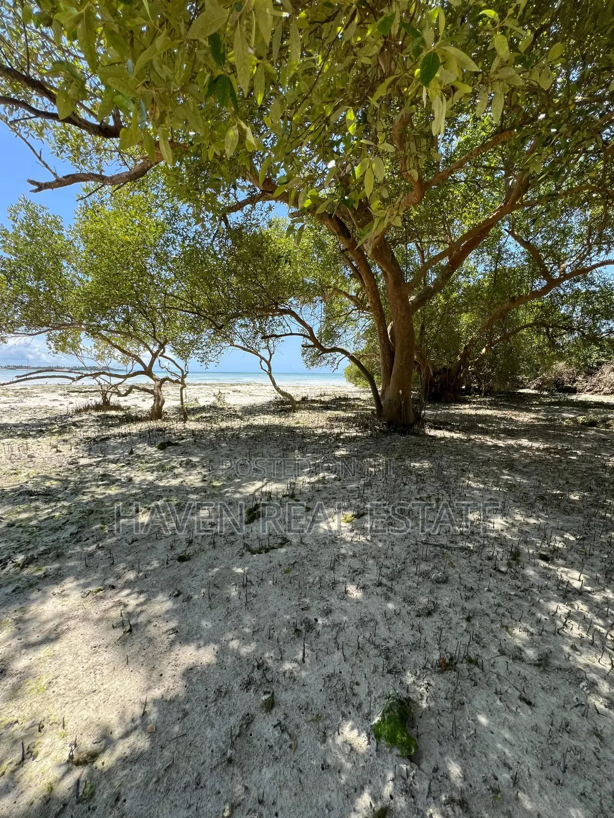 Mangrove Beach Plot for Sale at Pongwe, Zanzibar in Mjini Magharibi