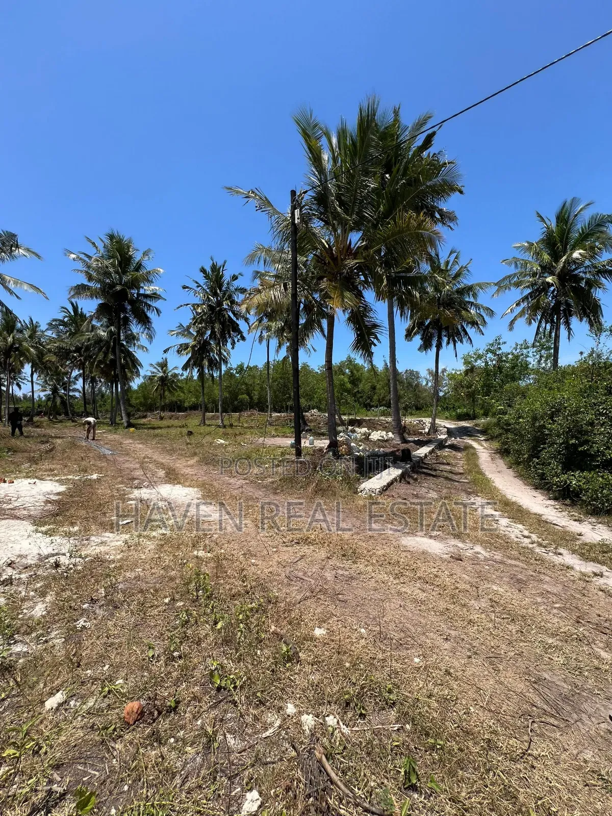 Mangrove Beach Plot for Sale at Pongwe, Zanzibar in Mjini Magharibi