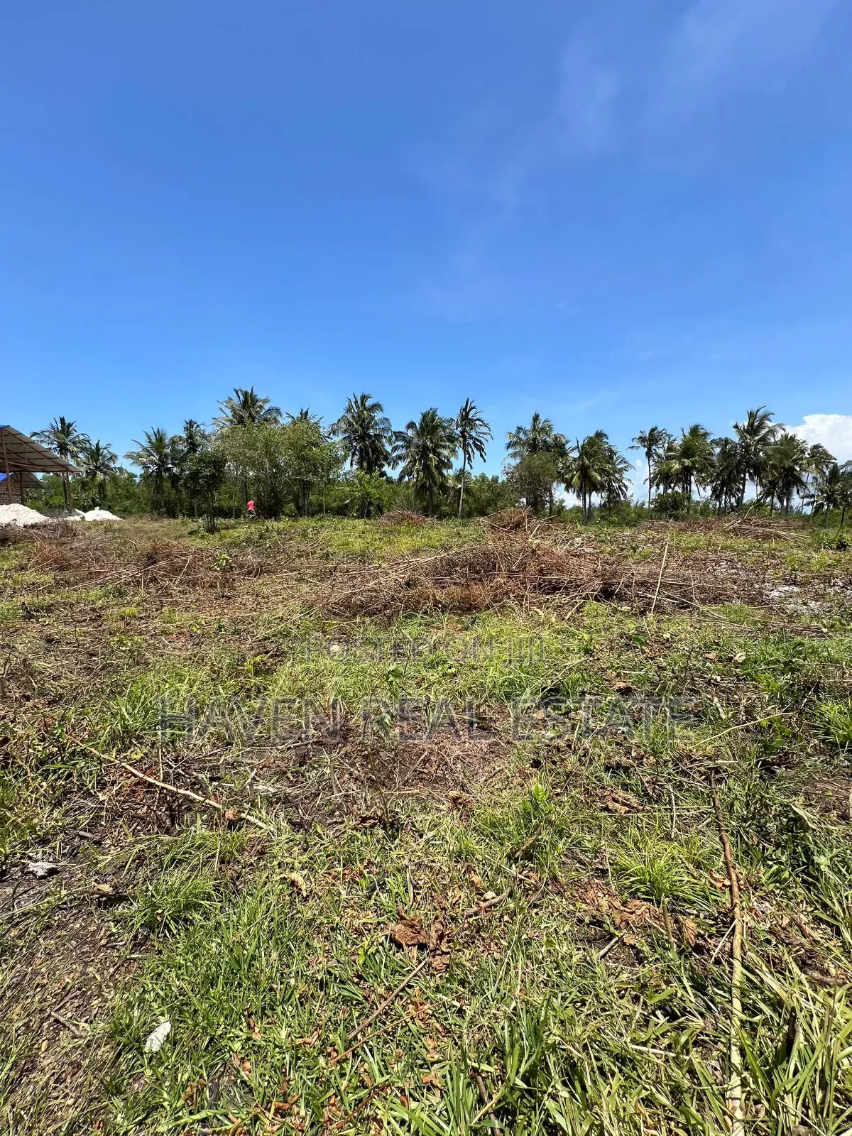 Mangrove Beach Plot for Sale at Pongwe, Zanzibar in Mjini Magharibi