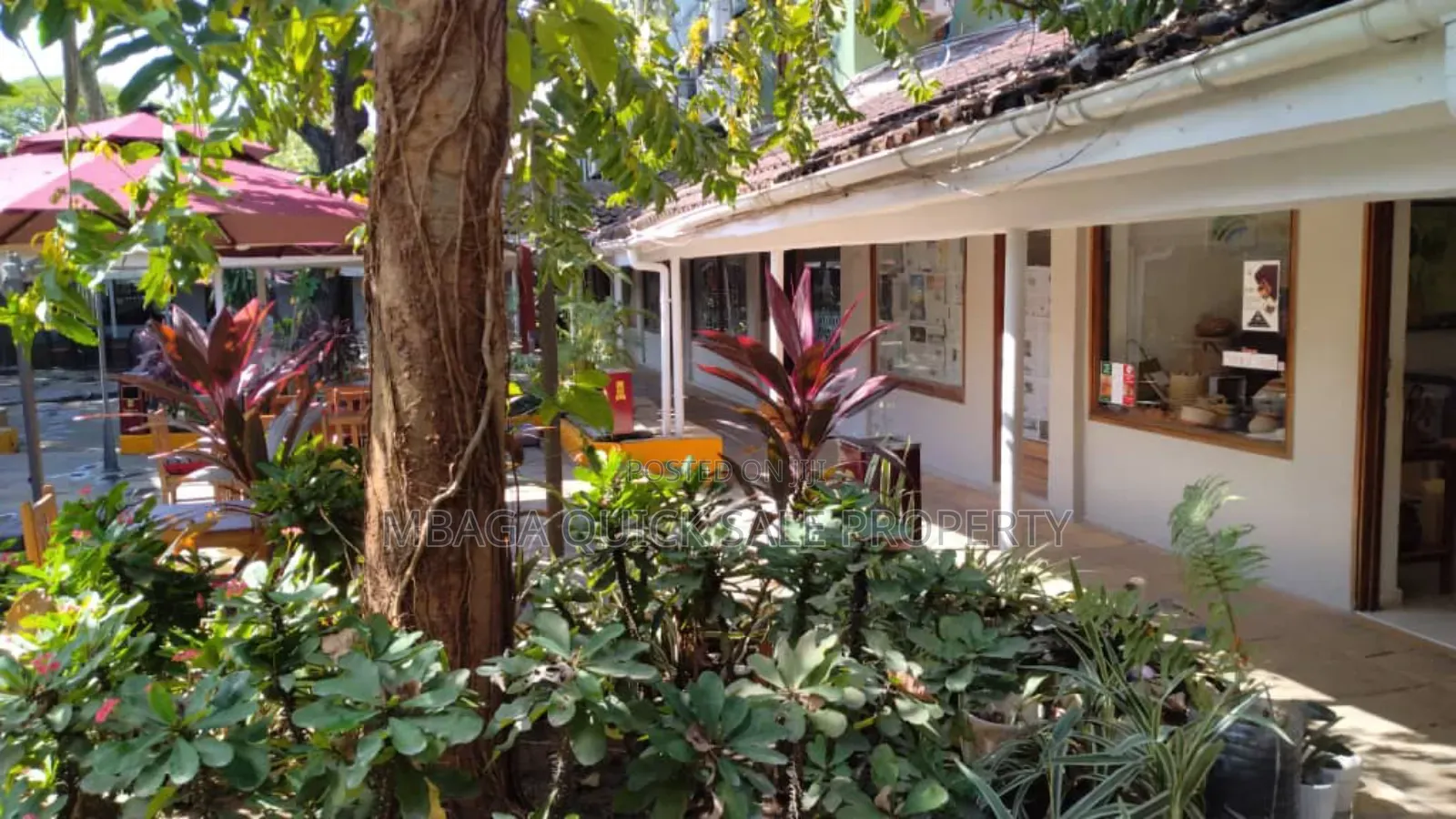 Office Space Area SQM 200 for Rent at Oyster Bay Near Coco Beach in Oyster Bay